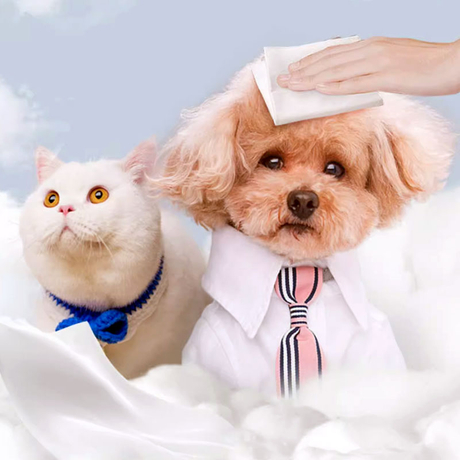 How-to-Use-Doggie-Wet-Wipes.jpg