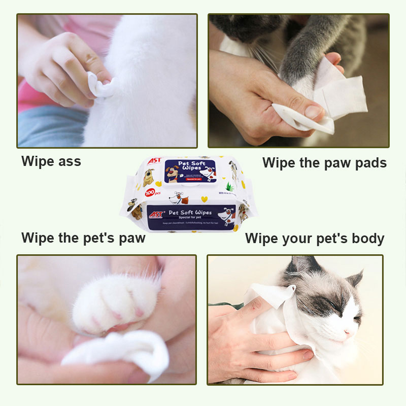 Best Pet Wipes for Dogs & Cats 100 Pcs Grooming Dog Wipes