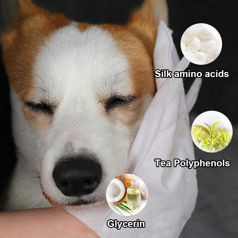 Cats Gloves Wipes Pet Grooming Cleaning Wipes 8 Pcs Per Pack 
