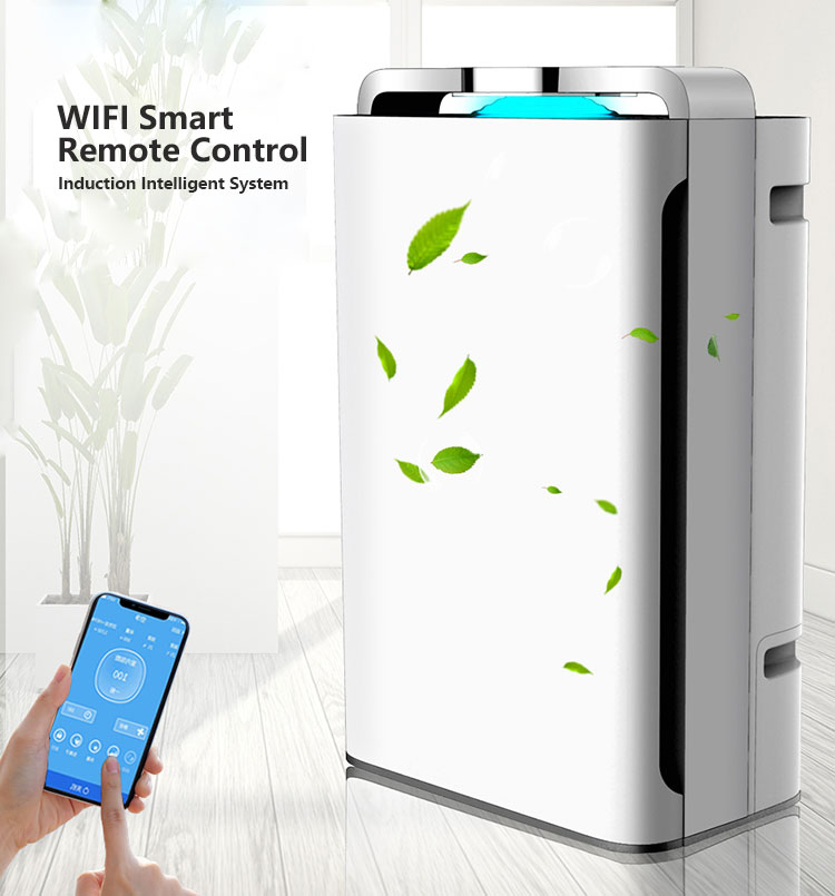 Top HEPA Air Purifier for Remove Viruses of AirChina Factory